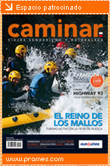 Revista Caminar